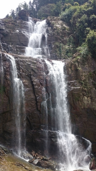 Шри Ланка 55+