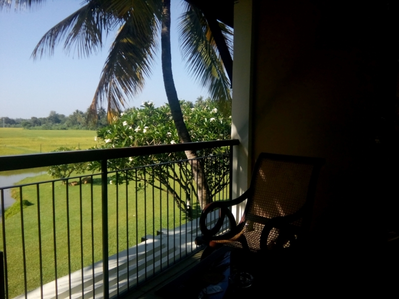 Шри Ланка 55+