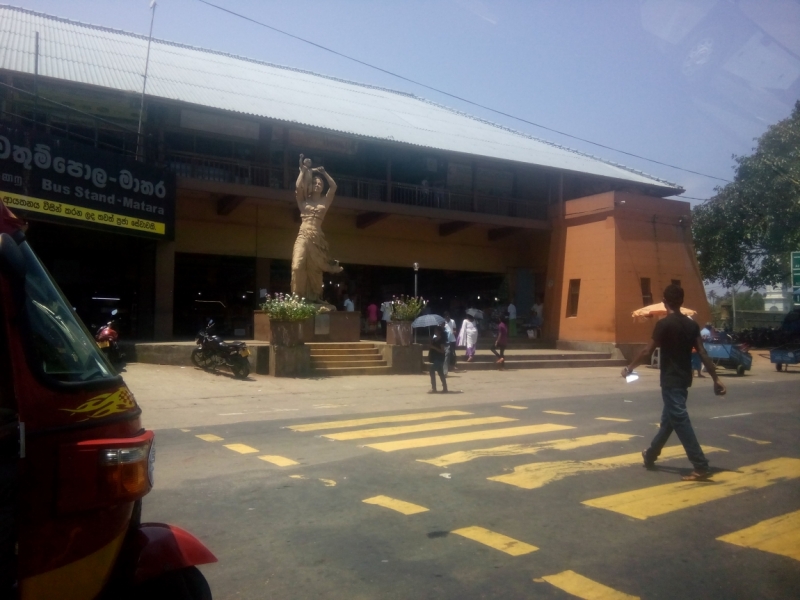 Шри Ланка 55+