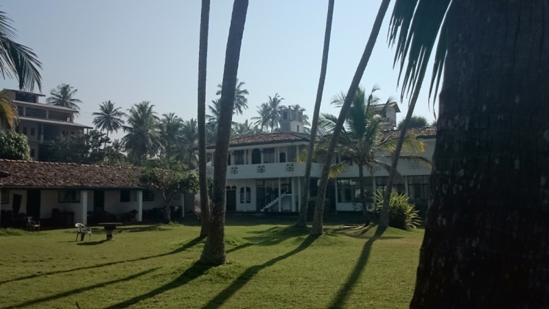 Шри Ланка 55+