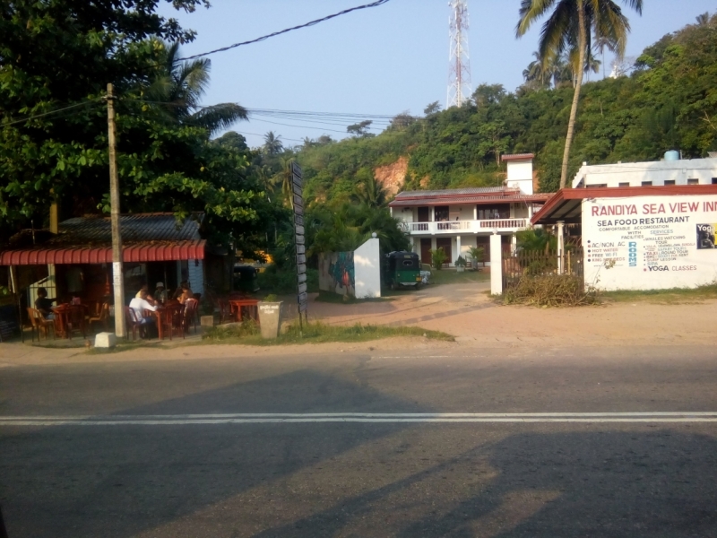 Шри Ланка 55+