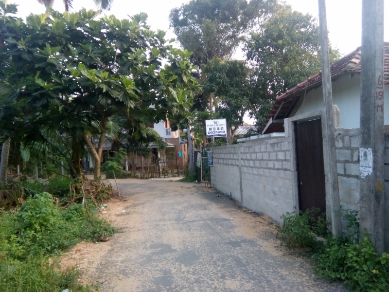 Шри Ланка 55+