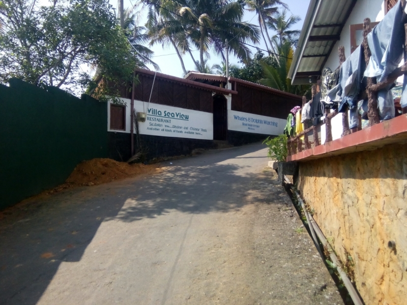 Шри Ланка 55+