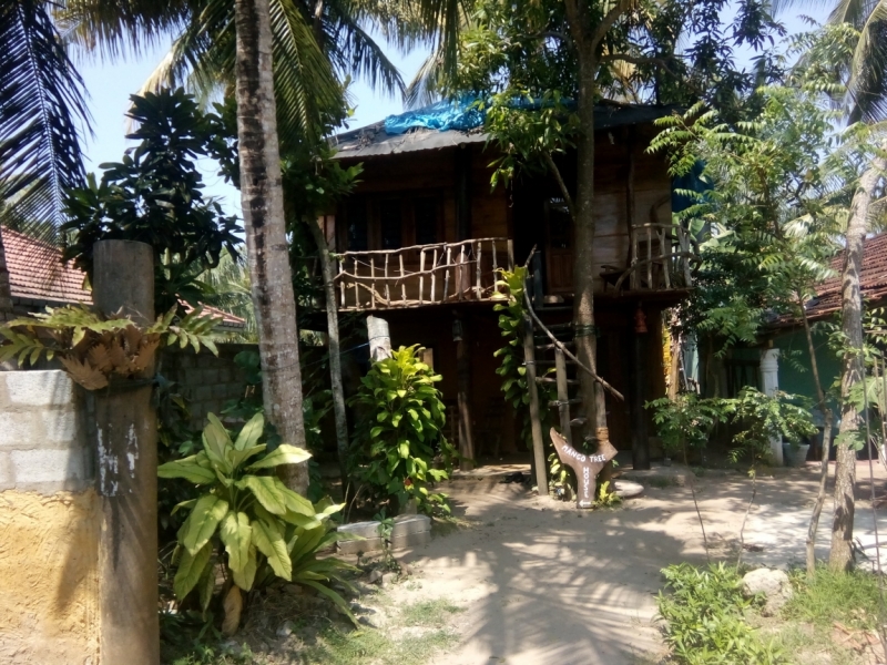 Шри Ланка 55+