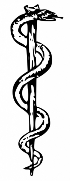 Шри Ланка 55+