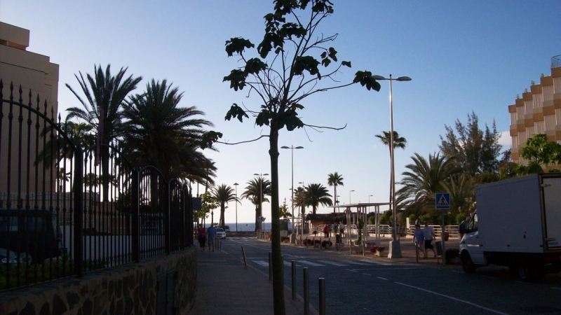4 дня релаксa на Gran Canaria в апреле