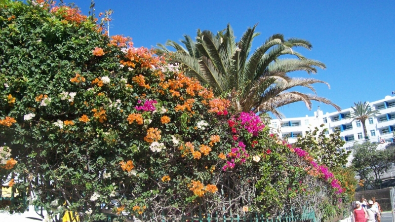 4 дня релаксa на Gran Canaria в апреле