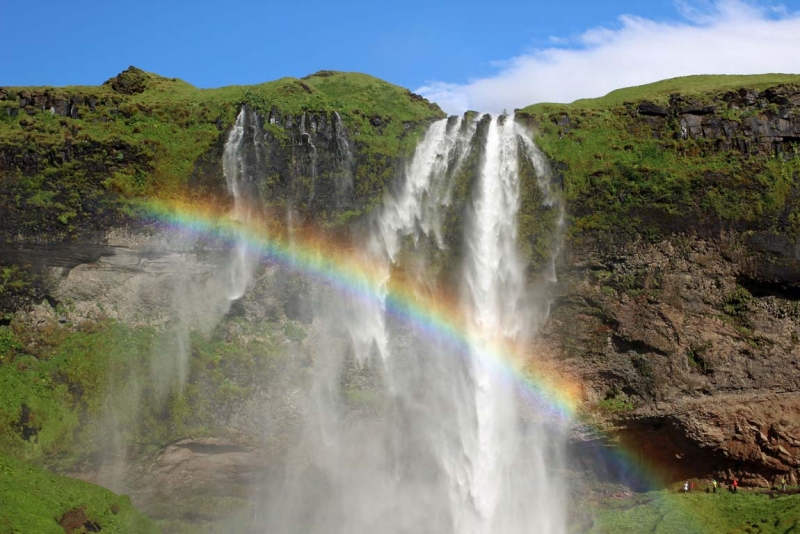 Остров Бекасов