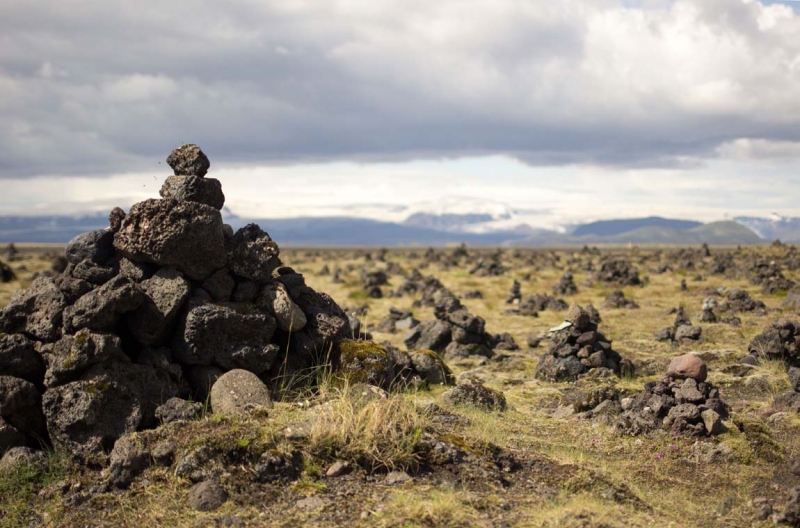 Остров Бекасов