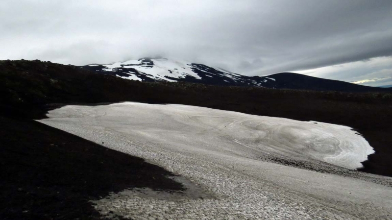 Остров Бекасов