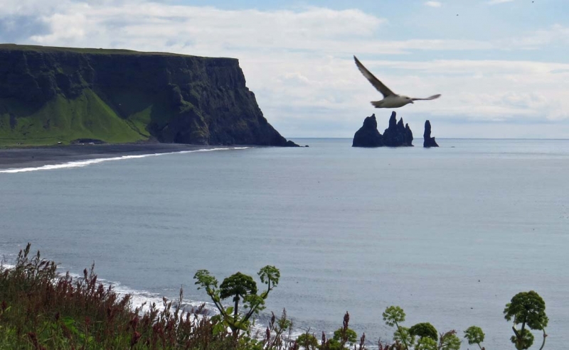 Остров Бекасов