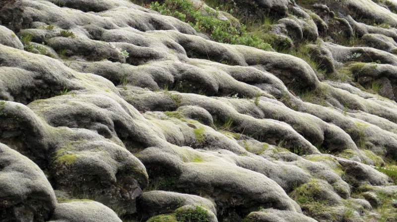 Остров Бекасов