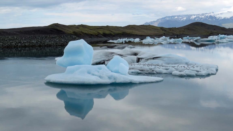 Остров Бекасов