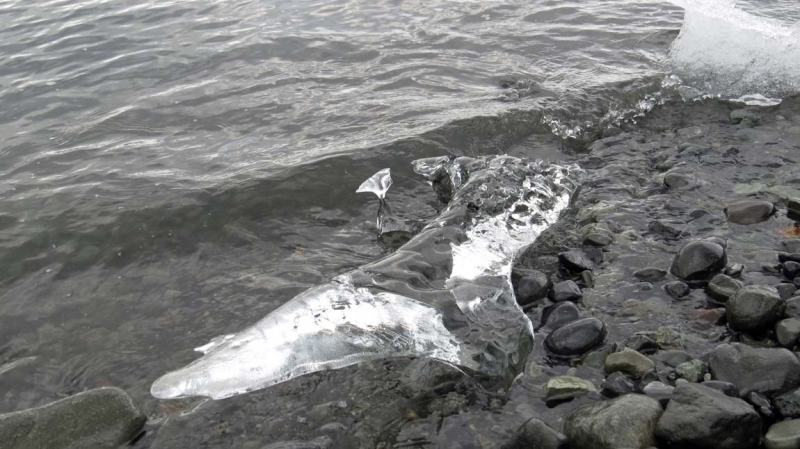 Остров Бекасов