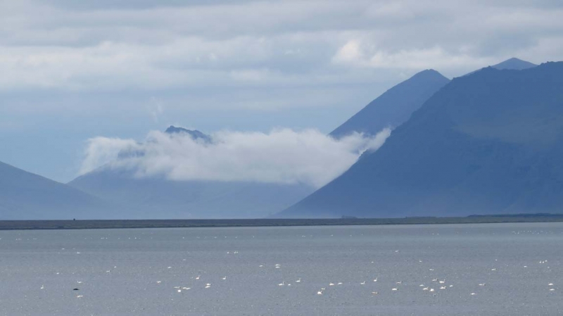 Остров Бекасов