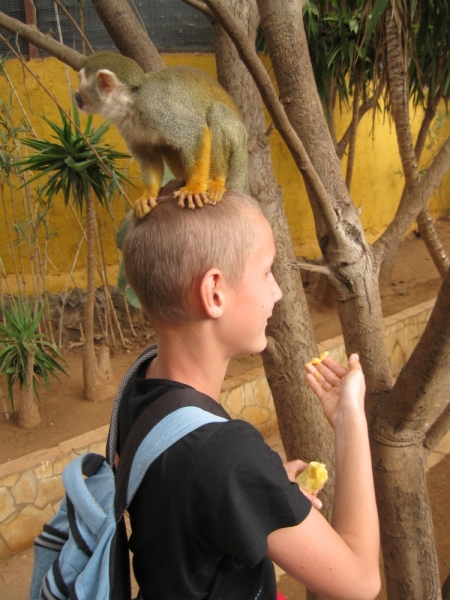 Фотоохота, зоопарки и просто животинки из путешествий - 3