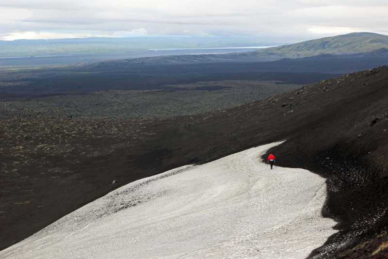 Остров Бекасов