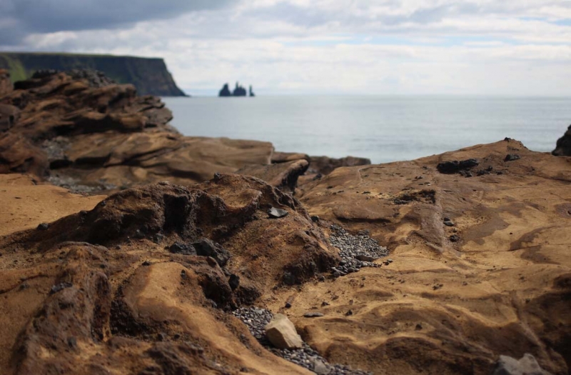 Остров Бекасов