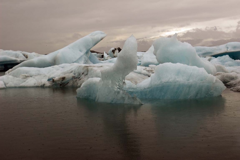 Остров Бекасов