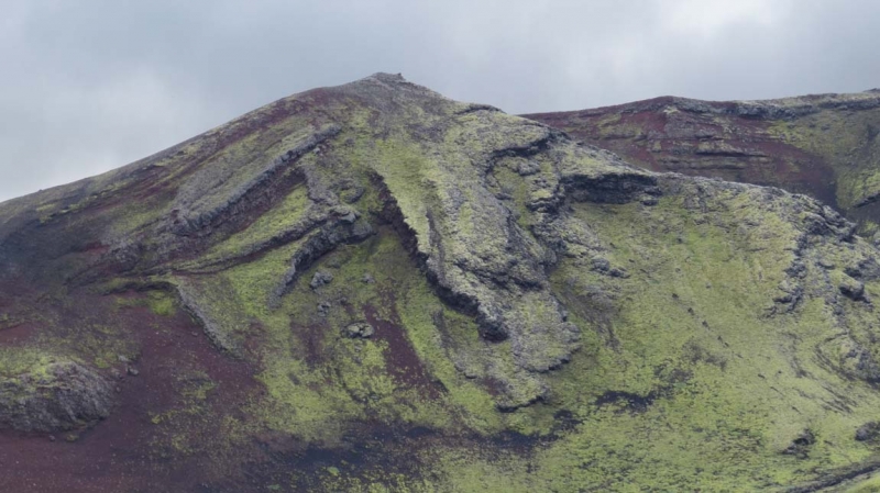 Остров Бекасов