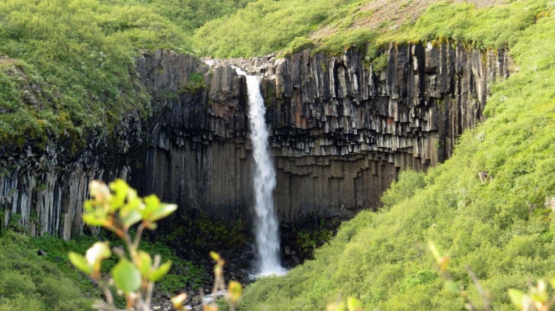 Остров Бекасов