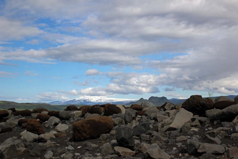 Остров Бекасов