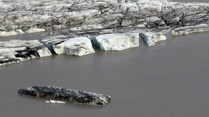 Остров Бекасов