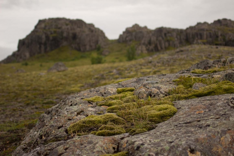 Остров Бекасов