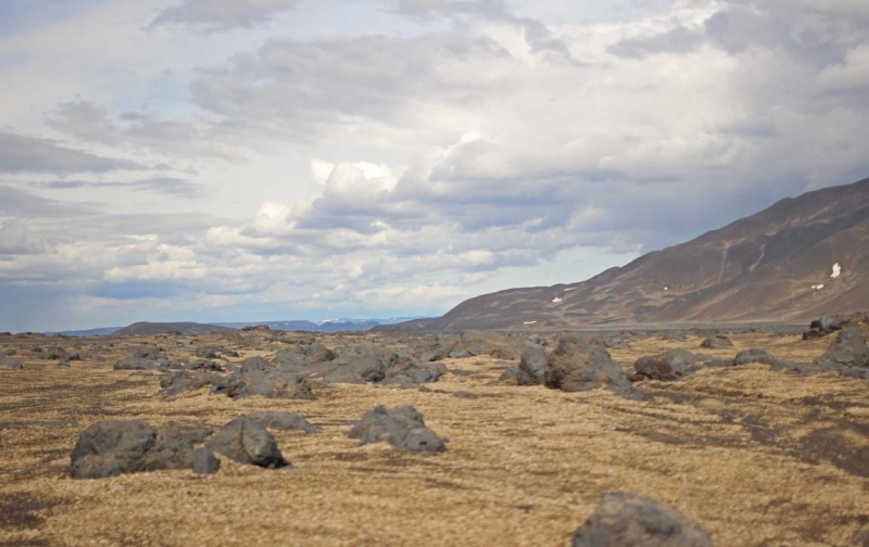Остров Бекасов