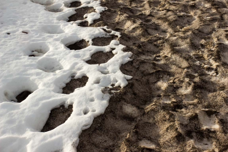 Остров Бекасов