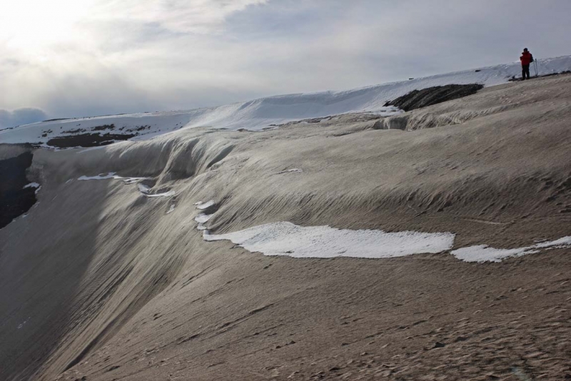 Остров Бекасов