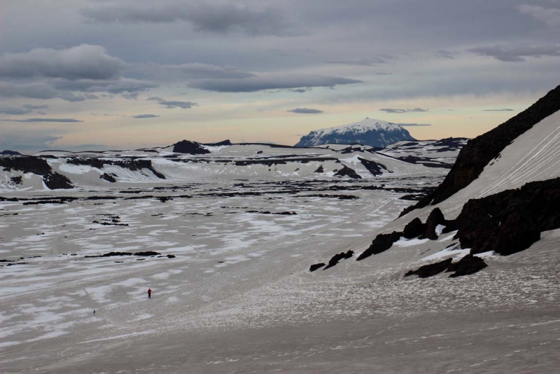 Остров Бекасов