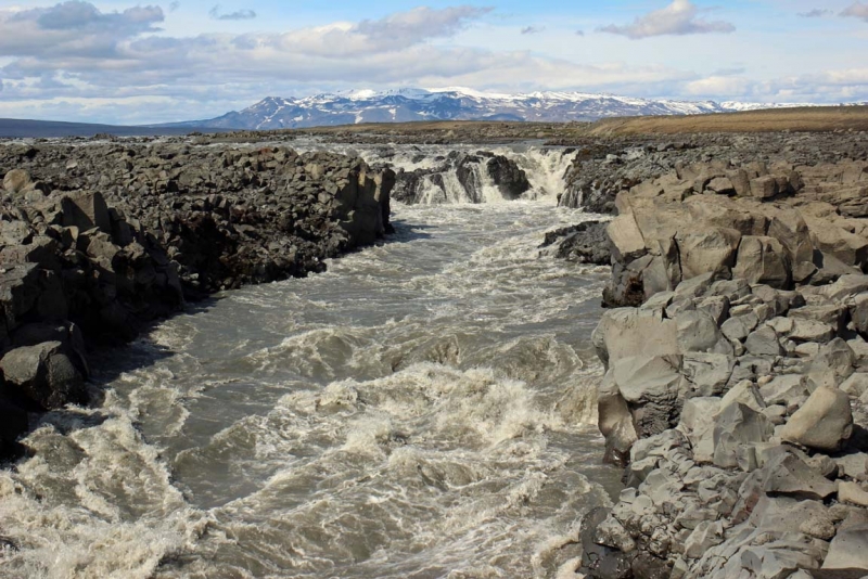 Остров Бекасов