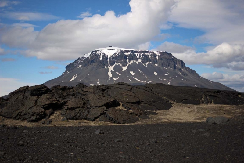 Остров Бекасов