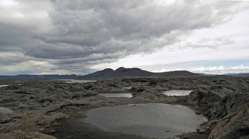 Остров Бекасов