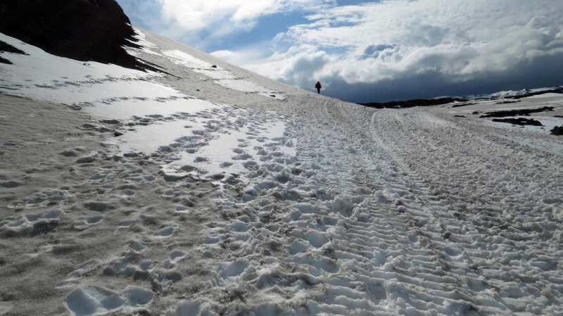 Остров Бекасов