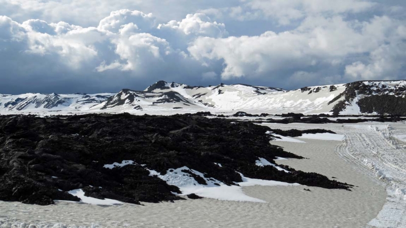 Остров Бекасов