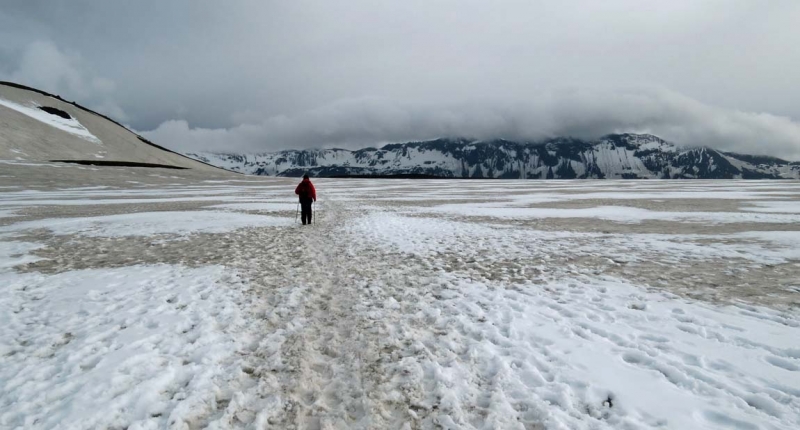 Остров Бекасов