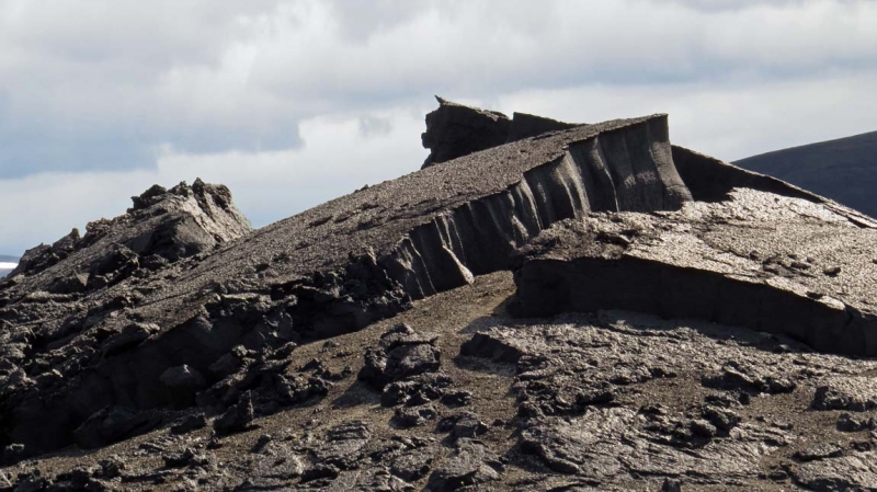 Остров Бекасов