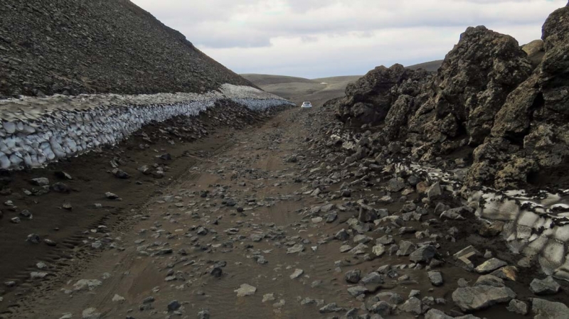 Остров Бекасов