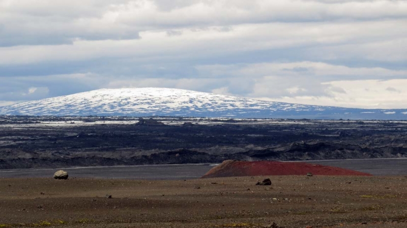 Остров Бекасов