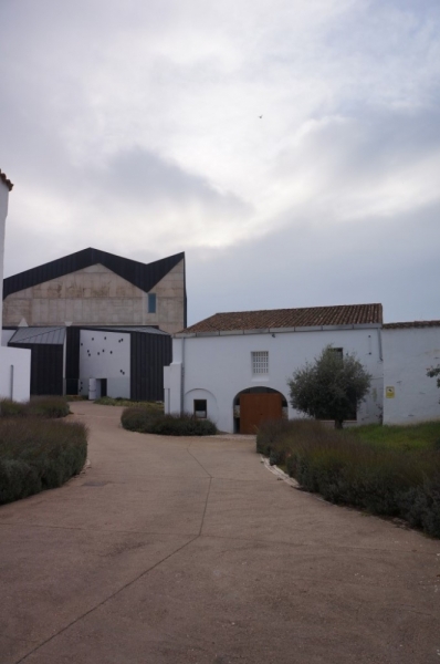 Неслучайная библиотека [Caceres, Badajoz, Jerez de los Caballeros, Zafra и другие]