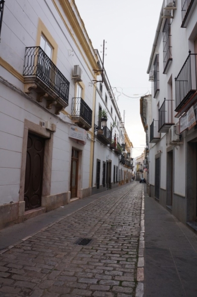 Неслучайная библиотека [Caceres, Badajoz, Jerez de los Caballeros, Zafra и другие]