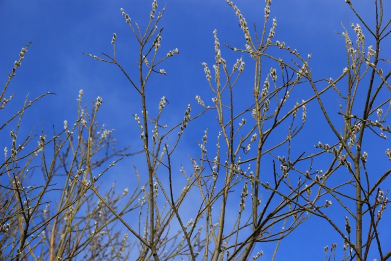 Норвежские фьорды на Costa Pacifica и до-и-после-круизная Германия с элементами квеста