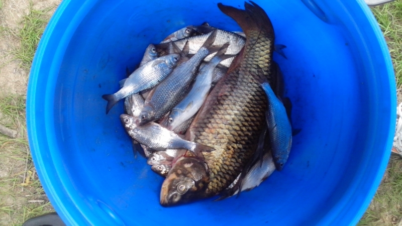 Встречаем 9-мая на Мамаевом кургане (Волгоград)