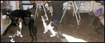 IMG 7562