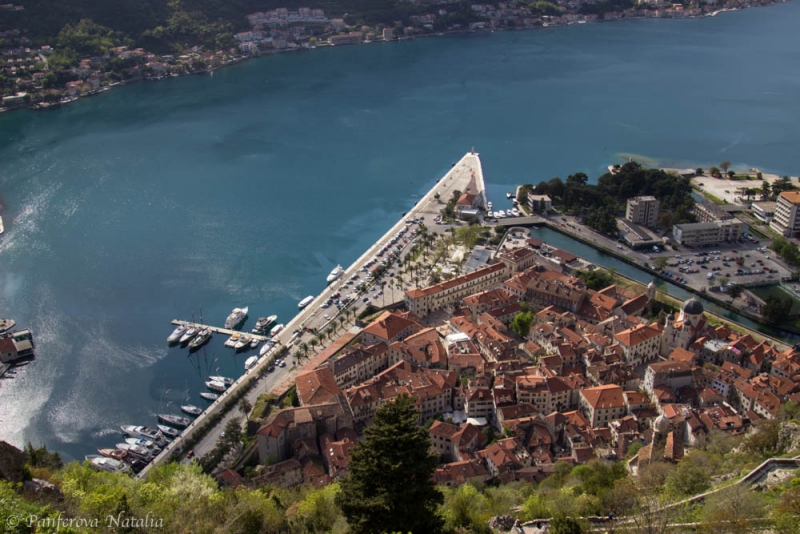 Черногория