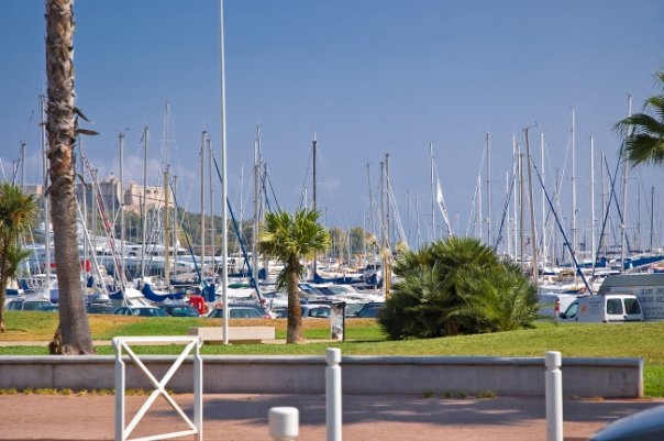 2 недели. Польша-Чехия-Франция-Италия-Австрия. Много фоток