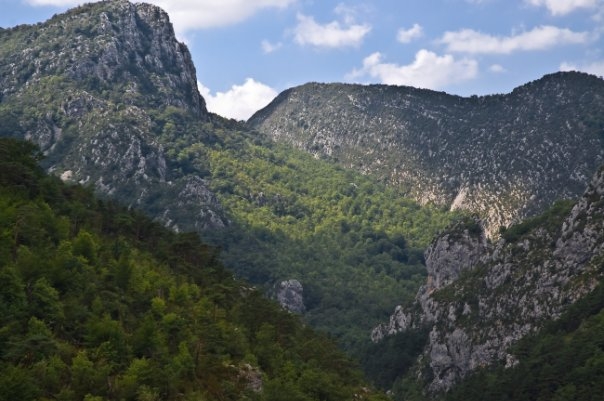 2 недели. Польша-Чехия-Франция-Италия-Австрия. Много фоток