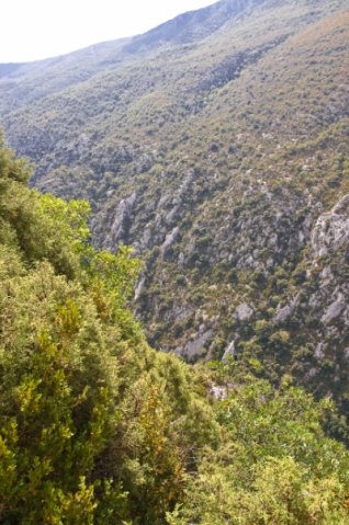 2 недели. Польша-Чехия-Франция-Италия-Австрия. Много фоток